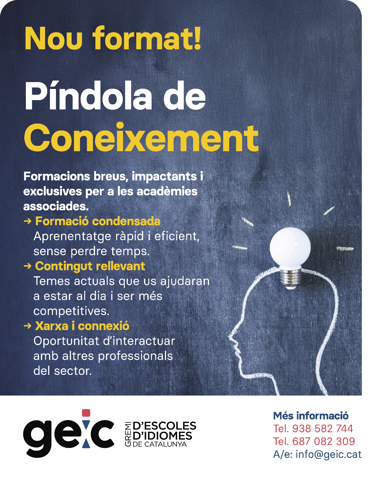 Descobreix les Píndoles de Coneixement del GEIC! Formacions breus, impactants i exclusives per a les acadèmies associades.
