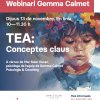 Formació en Neurodiversitat:Trastorn de l'Espectre Autista (TEA)