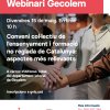 ELS ASPECTES MES RELLEVATS DEL CONVENI COL·LECTIU DE L’ENSENYAMENT I FORMACIÓ NO REGLADA DE CATALUNYA