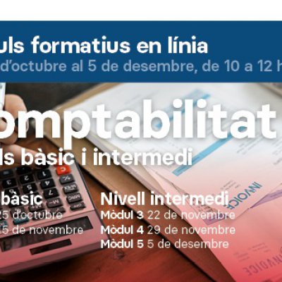 COMPTABILITAT BÀSICA I INTERMÈDIA